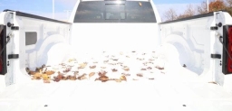 Ram 1500 Big Horn 4x4 Crew Cab 5'7" Box 2026