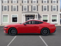 Ford Mustang EcoBoost Premium Fastback 2026