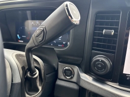 Ford Super Duty F-250 SRW Platinum 4WD Crew Cab 6.75' Box 2025