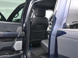 Ford Super Duty F-250 SRW Platinum 4WD Crew Cab 6.75' Box 2025