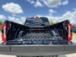 Ford Super Duty F-250 SRW Platinum 4WD Crew Cab 6.75' Box 2025