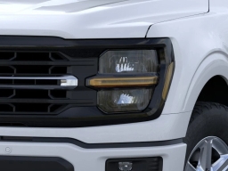 Ford F-150 XLT 4WD SuperCrew 5.5' Box 2026