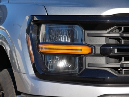 Ford F-150 XLT 4WD SuperCrew 5.5' Box 2025