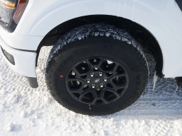 Ford F-150 XLT 4WD SuperCrew 5.5' Box 2025