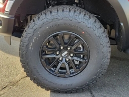 Ford F-150 Raptor 4WD SuperCrew 5.5' Box 2025