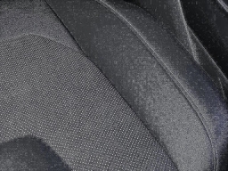 Ford F-150 Raptor 4WD SuperCrew 5.5' Box 2026