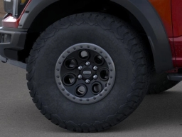 Ford F-150 Raptor 4WD SuperCrew 5.5' Box 2025