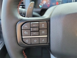 Ford F-150 Raptor 4WD SuperCrew 5.5' Box 2025