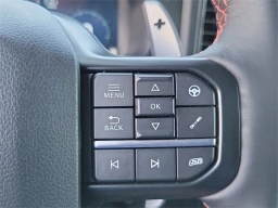 Ford F-150 Raptor 4WD SuperCrew 5.5' Box 2025