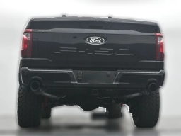 Ford F-150 XLT 4WD SuperCrew 5.5' Box 2025