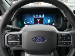 Ford F-150 XLT 4WD SuperCrew 5.5' Box 2025