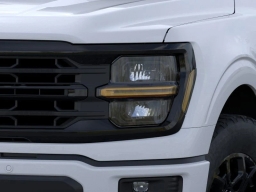 Ford F-150 XLT 4WD SuperCrew 5.5' Box 2025