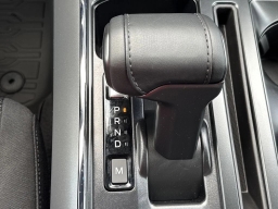 Ford F-150 XLT 4WD SuperCrew 5.5' Box 2025