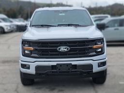 Ford F-150 XLT 4WD SuperCrew 5.5' Box 2025