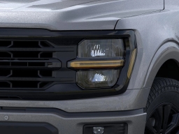 Ford F-150 XLT 4WD SuperCrew 5.5' Box 2025