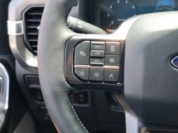 Ford F-150 Platinum 4WD SuperCrew 5.5' Box 2025