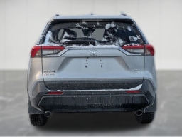 Toyota RAV4 XLE AWD (Natl) 2025