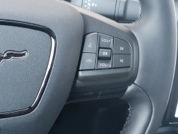 Ford Mustang Mach-E Premium RWD 2025