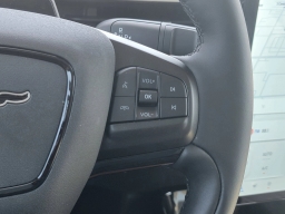 Ford Mustang Mach-E Premium RWD 2025