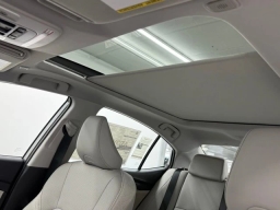 Toyota Camry XLE (Natl) 2026