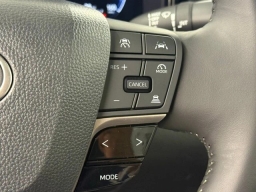 Toyota Camry XLE (Natl) 2026