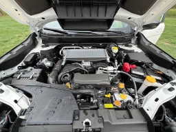 Subaru Outback Wilderness AWD 2026