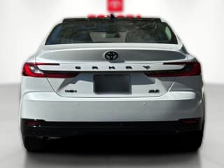 Toyota Camry XLE (Natl)