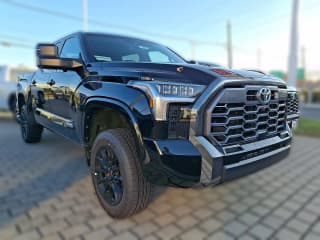 Toyota Tundra 4WD Platinum CrewMax 5.5' Bed (Natl)